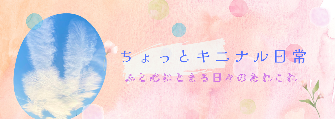 ちょっとキニナル日常